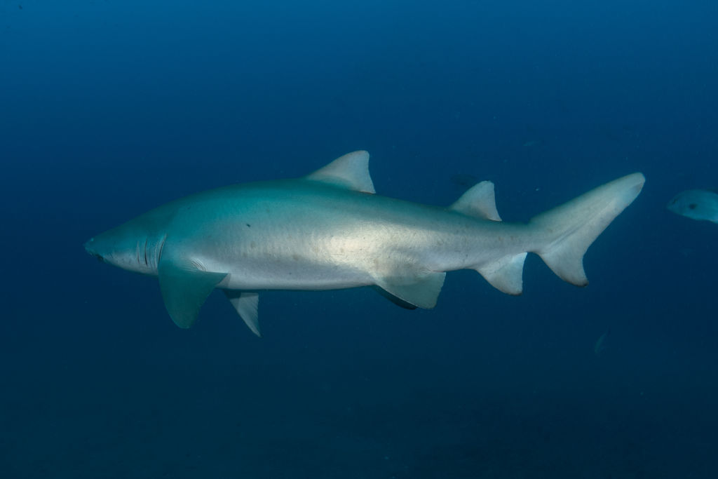 00b01859-0afc-4cf2-bcad-10e0cdfbcbe7