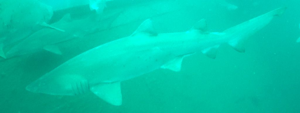 3ea1f943-77b1-43da-bd39-bcf5299deb0c