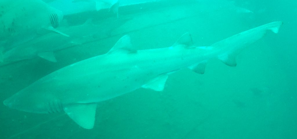 3ea1f943-77b1-43da-bd39-bcf5299deb0c