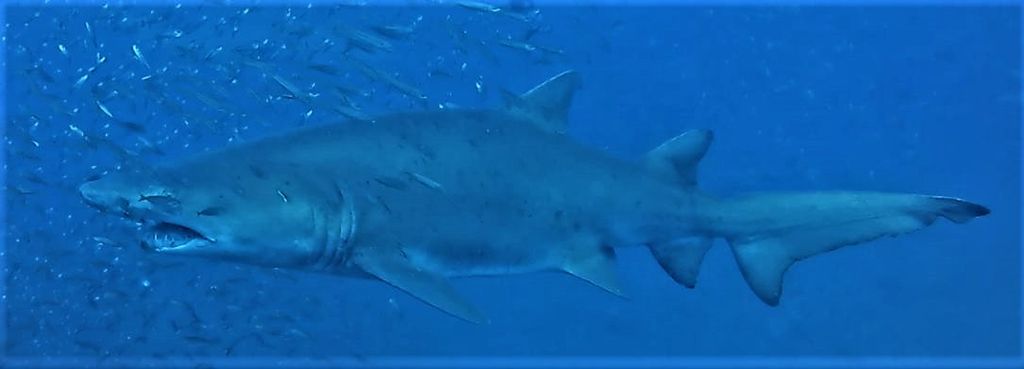 546316a7-55d1-456f-9f72-377d321e2c40