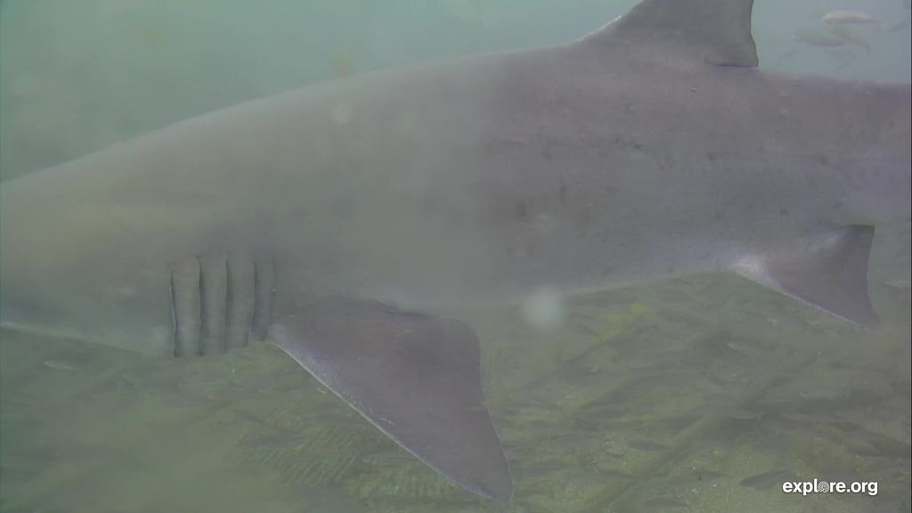 4baf6d6d-3671-43bd-9670-84ba7f69bd39