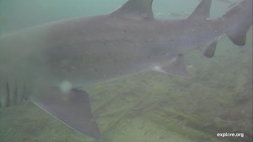 4baf6d6d-3671-43bd-9670-84ba7f69bd39