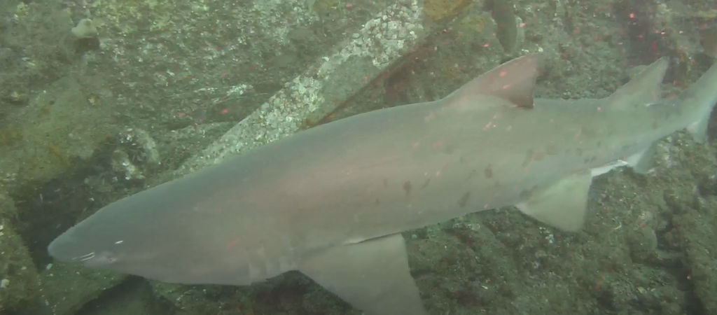 13082b81-61d0-459a-a19b-36bedff57cf5