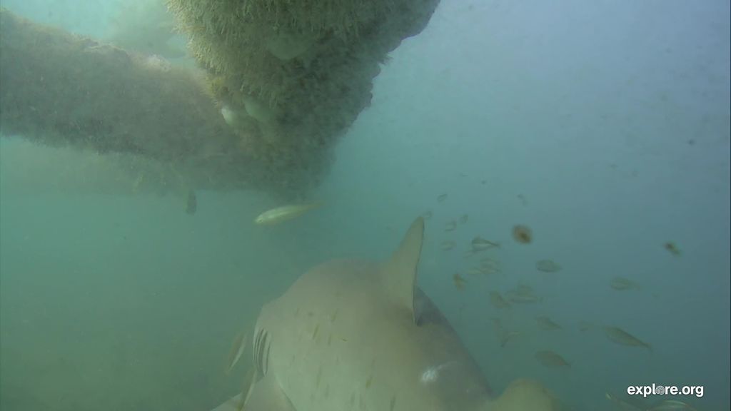 3f90d08f-cd01-4f33-b4e4-3f7076156839