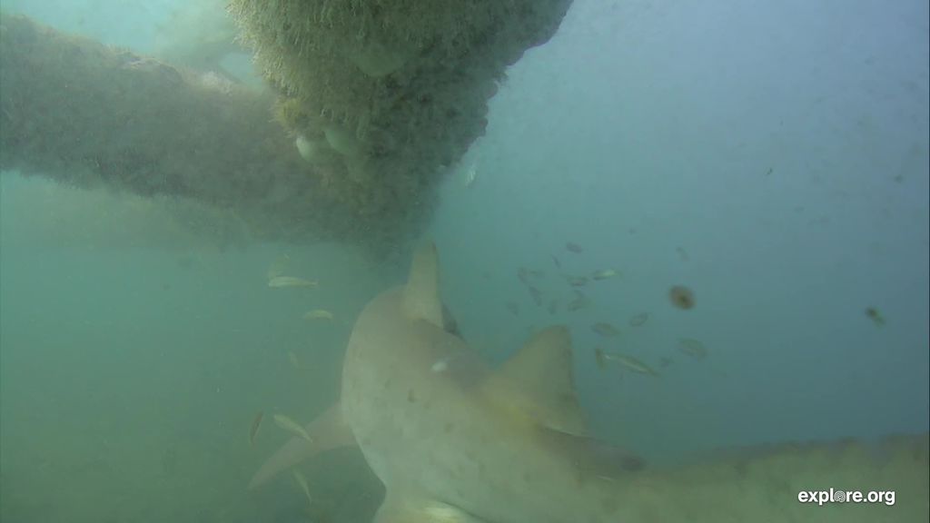 3f90d08f-cd01-4f33-b4e4-3f7076156839