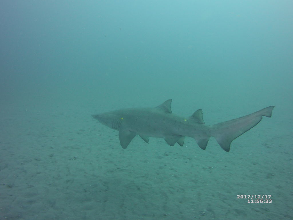 7f576108-d5fd-4227-a093-e9f64d922cdf