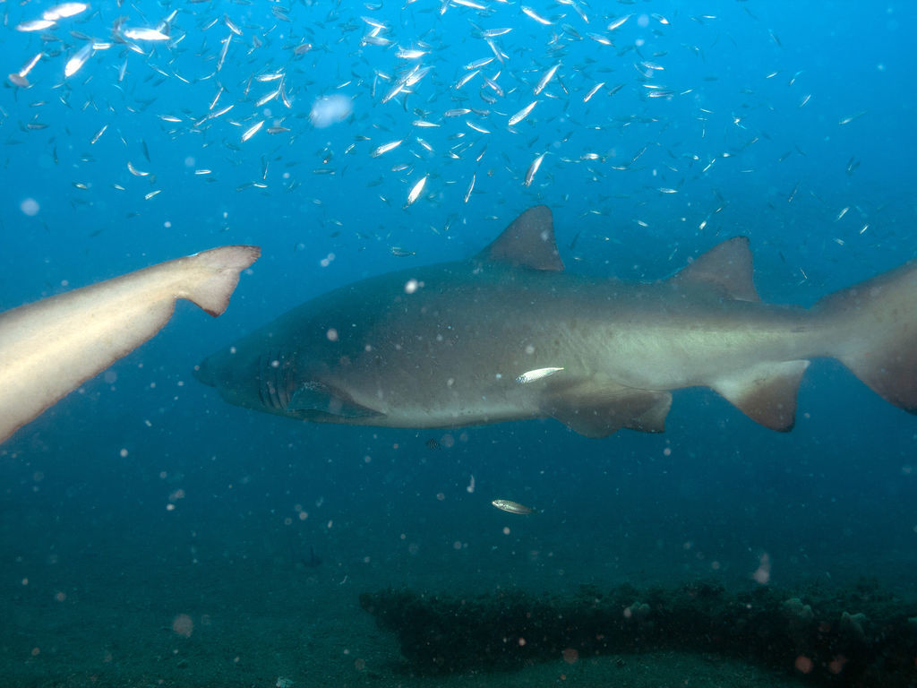 85b7652c-81e1-4d03-8e5a-3d053241f8fb