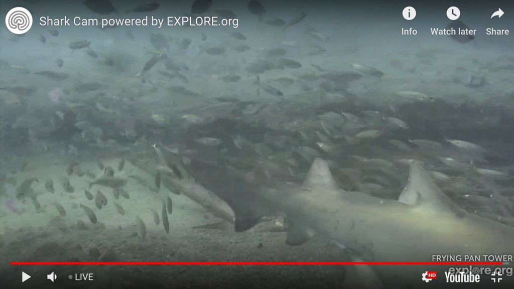 56c9bd02-4f6f-4dfb-b19d-3a30ec885161