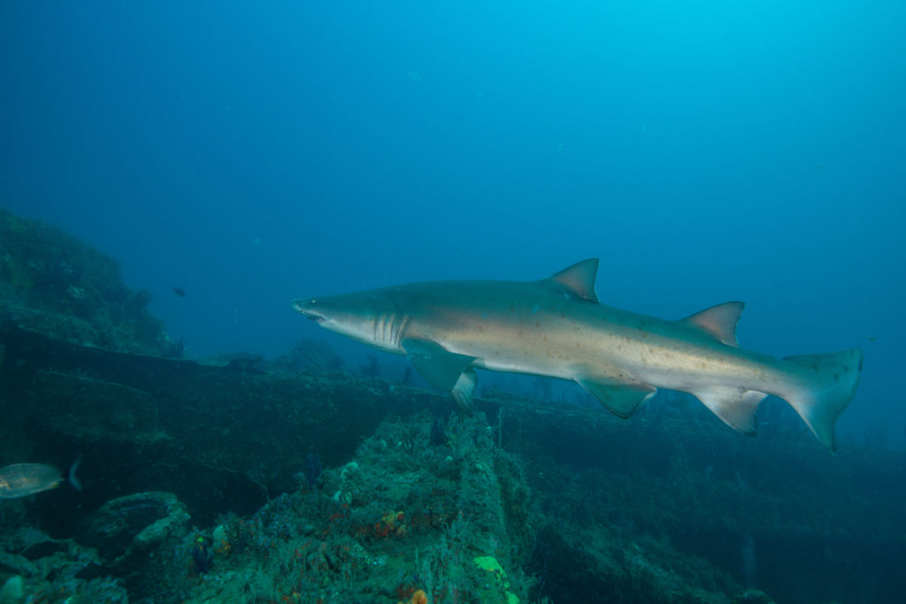 a3087eb9-c634-4a2e-8e52-a7c4b252af04