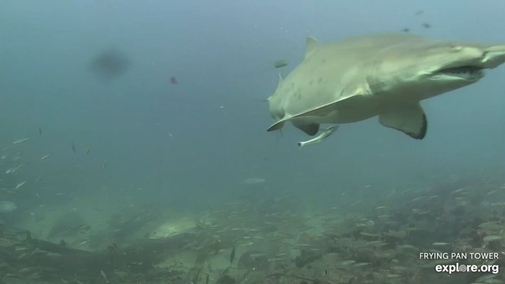 4821ca46-b67d-43e1-b78f-1b34f16469d5