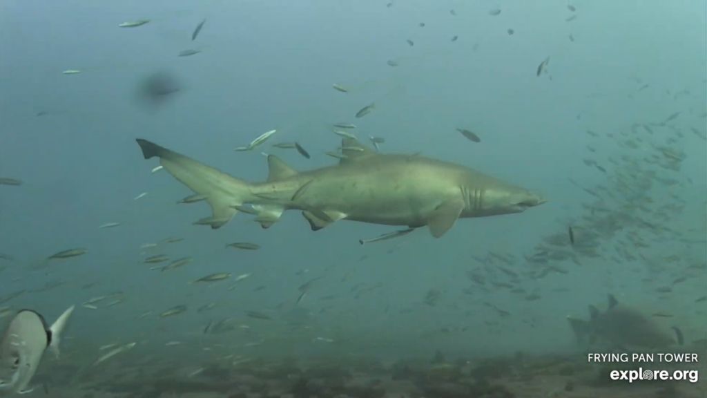 4821ca46-b67d-43e1-b78f-1b34f16469d5