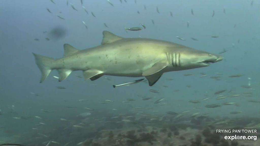 4821ca46-b67d-43e1-b78f-1b34f16469d5