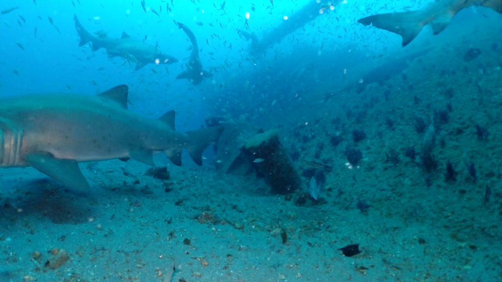 f5b87e6f-af99-4d6b-ba9b-986a02cb9d8c