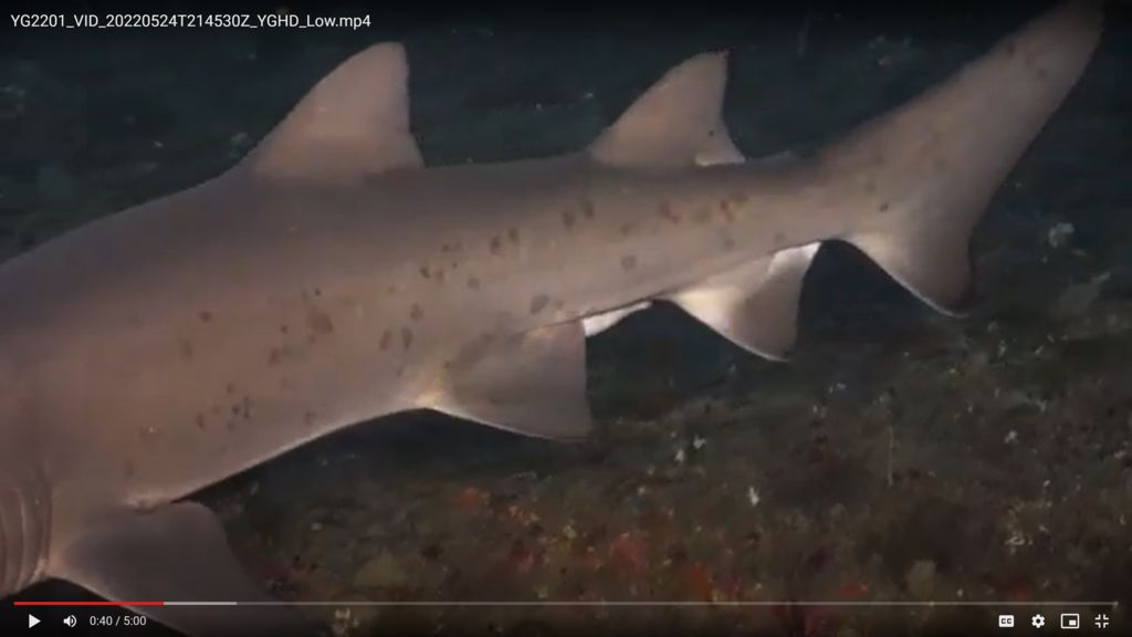 e6543f71-46e1-44c8-a9fb-8c49afb77e4f