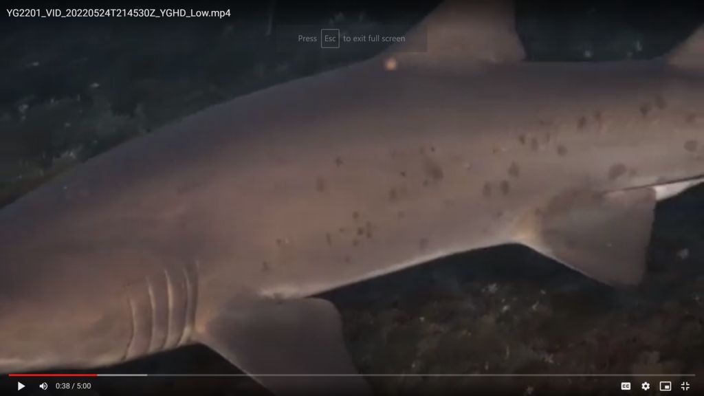 e6543f71-46e1-44c8-a9fb-8c49afb77e4f