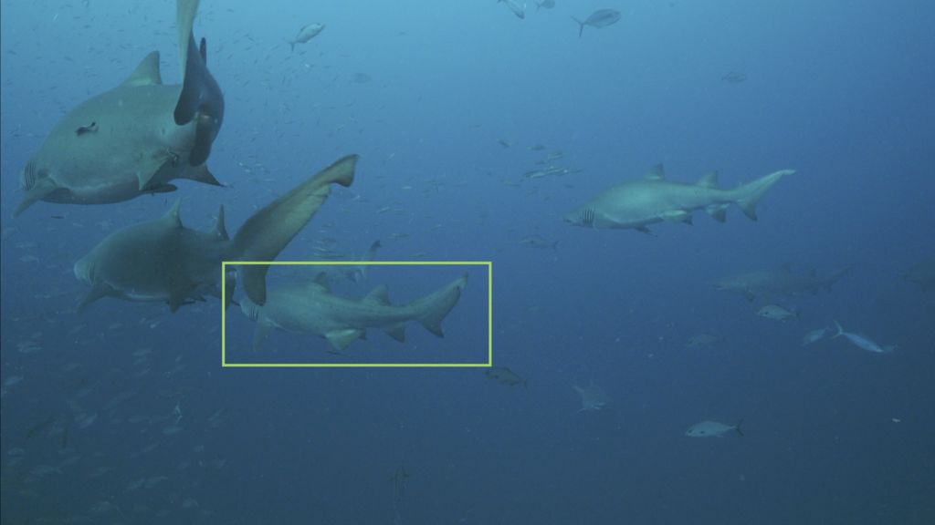 14c74fa8-f1dc-4c7b-b1eb-db8a67d4a472