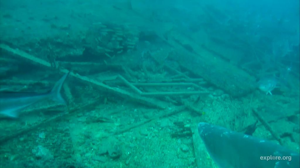 829eab3a-d4a2-4821-b3a0-c1ac6c0b30fb