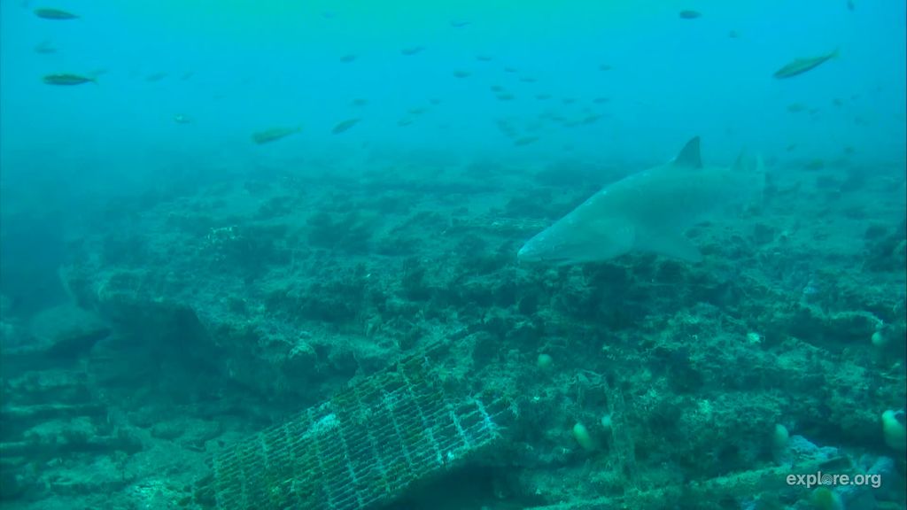 829eab3a-d4a2-4821-b3a0-c1ac6c0b30fb