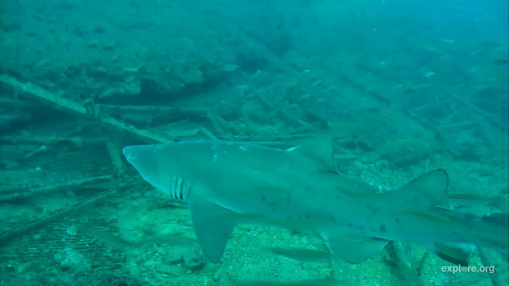 829eab3a-d4a2-4821-b3a0-c1ac6c0b30fb