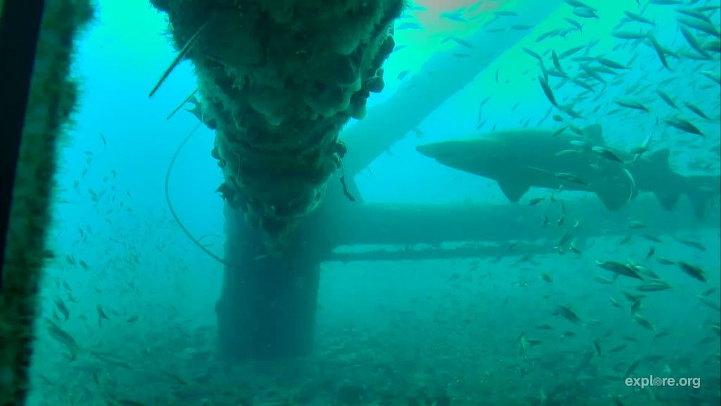 ed1c4963-82c7-402f-8b95-21c1a0cf9145