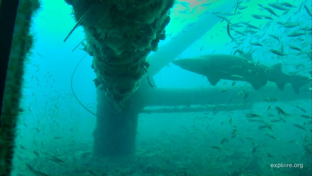 ed1c4963-82c7-402f-8b95-21c1a0cf9145