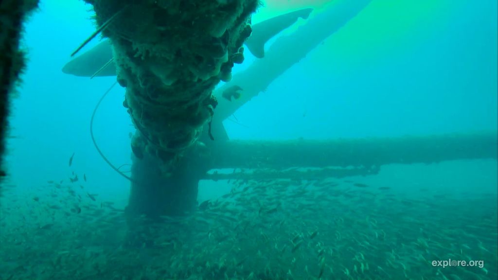 ed1c4963-82c7-402f-8b95-21c1a0cf9145