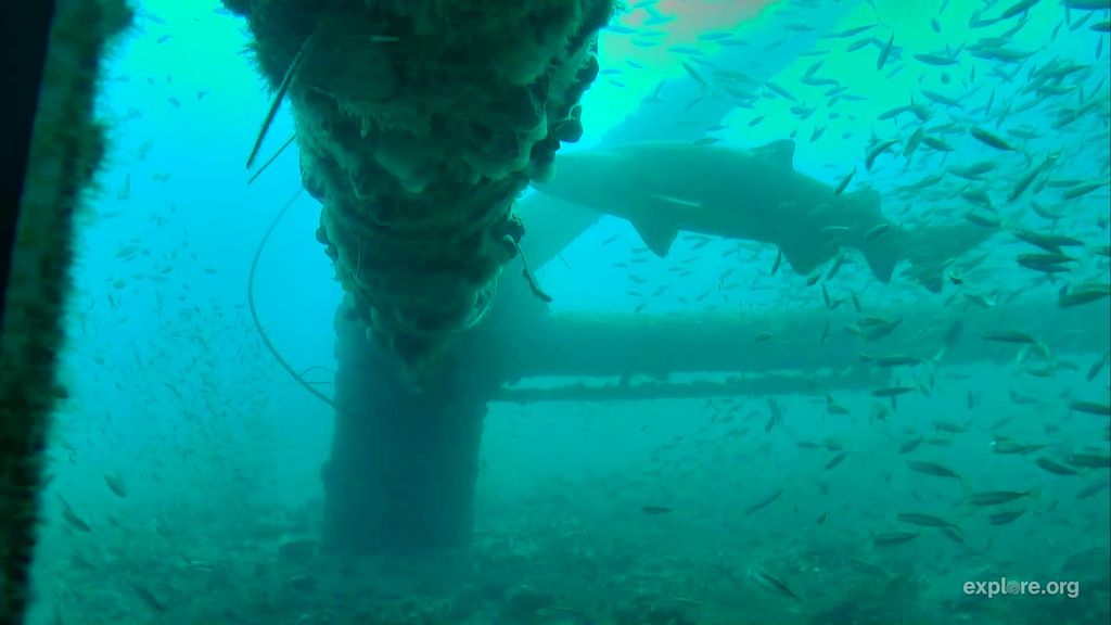 ed1c4963-82c7-402f-8b95-21c1a0cf9145