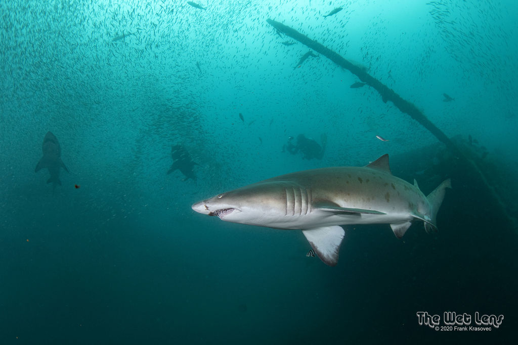 7e78c959-ff1e-4efd-8bd0-091e7a5d9450