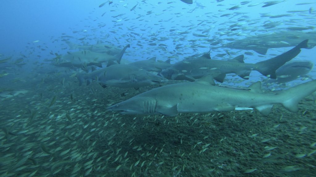 fd9a980e-1c17-4bac-8e95-ff4e610e4b6c