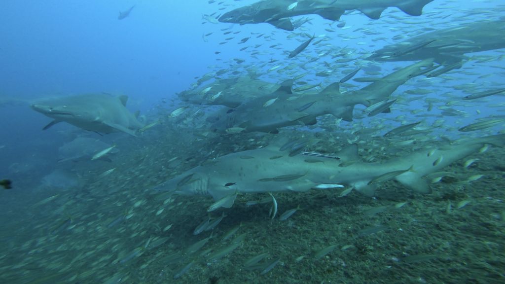 fd9a980e-1c17-4bac-8e95-ff4e610e4b6c