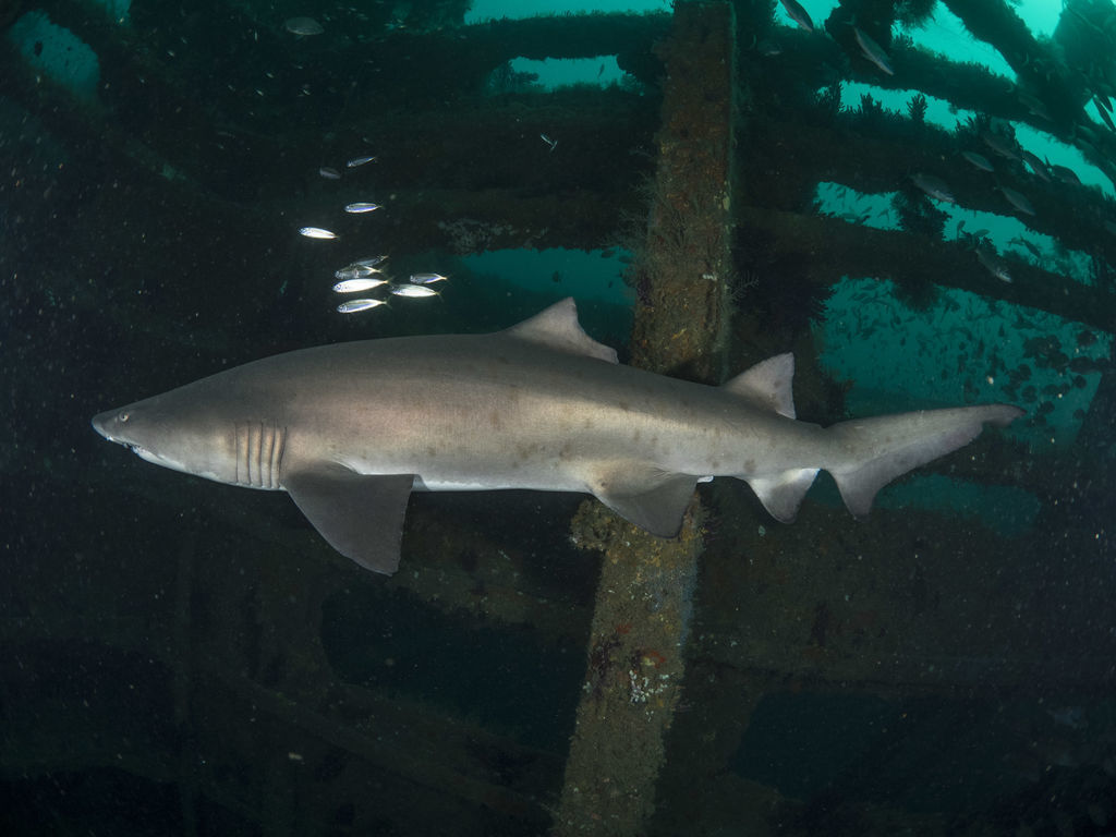 8dd20976-cb57-4db6-978a-590ddb9e1c8d