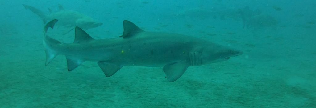 b443fe15-26c1-41e0-b631-30cd71de77a0