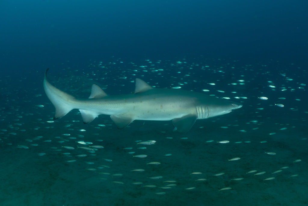 b443fe15-26c1-41e0-b631-30cd71de77a0