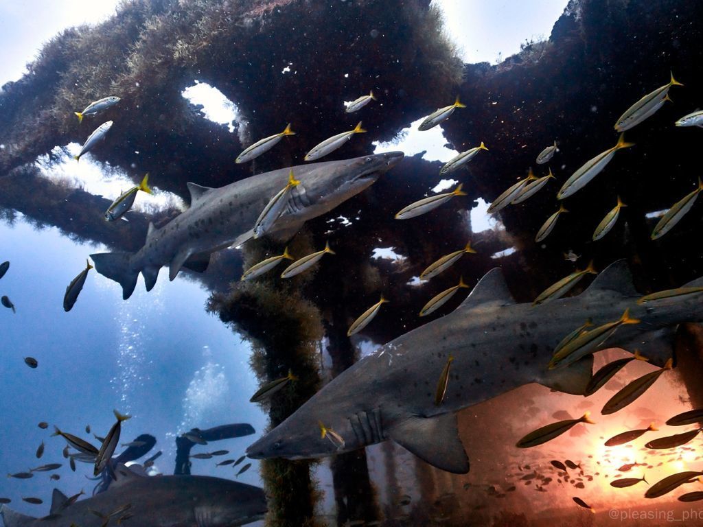 9412f3b0-a446-4c75-b0b8-c6c2dddba895