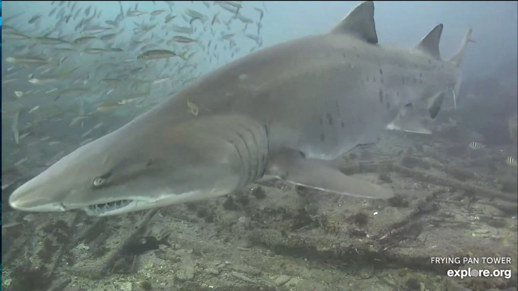 84034d65-4afd-4845-92ee-6eb6e0a41f03