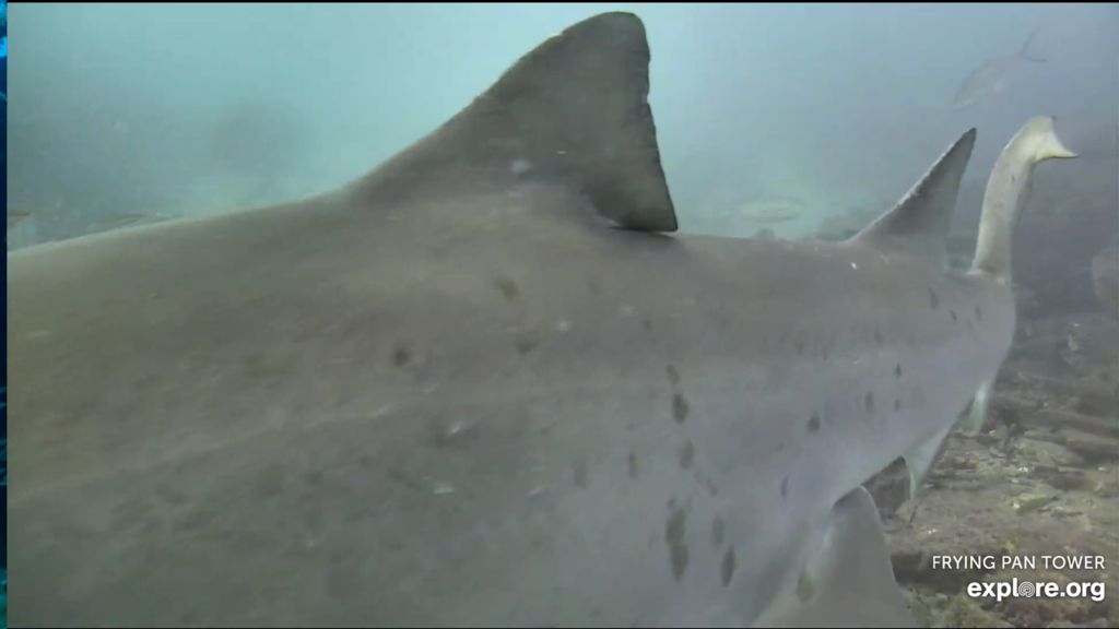 84034d65-4afd-4845-92ee-6eb6e0a41f03