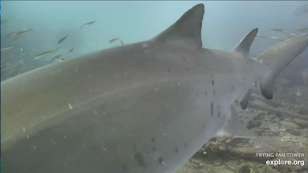 84034d65-4afd-4845-92ee-6eb6e0a41f03