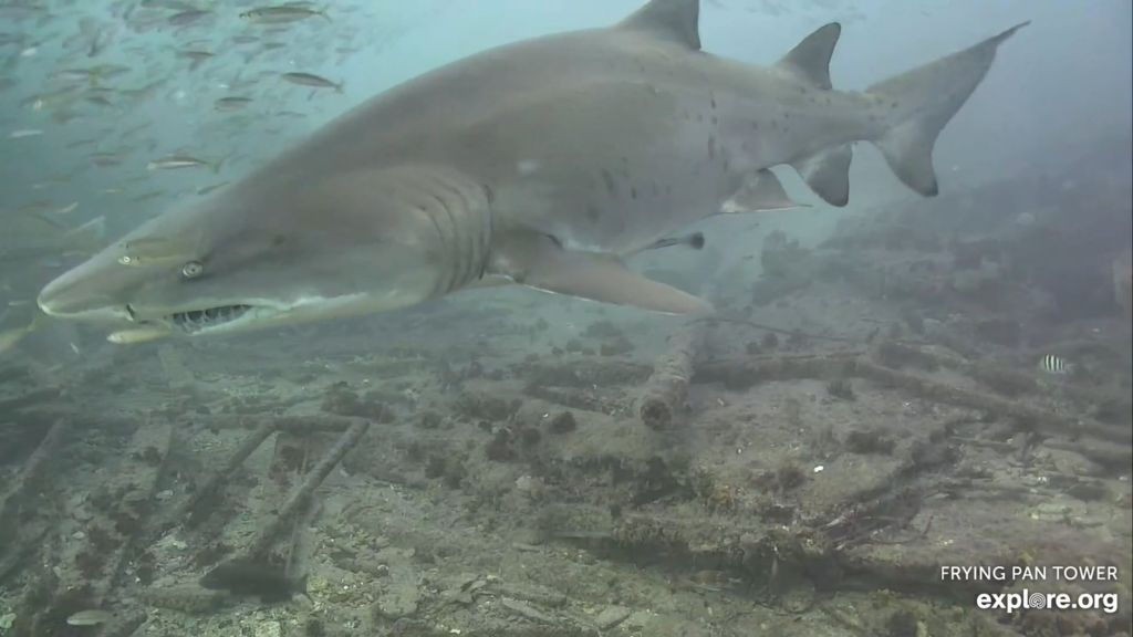 84034d65-4afd-4845-92ee-6eb6e0a41f03