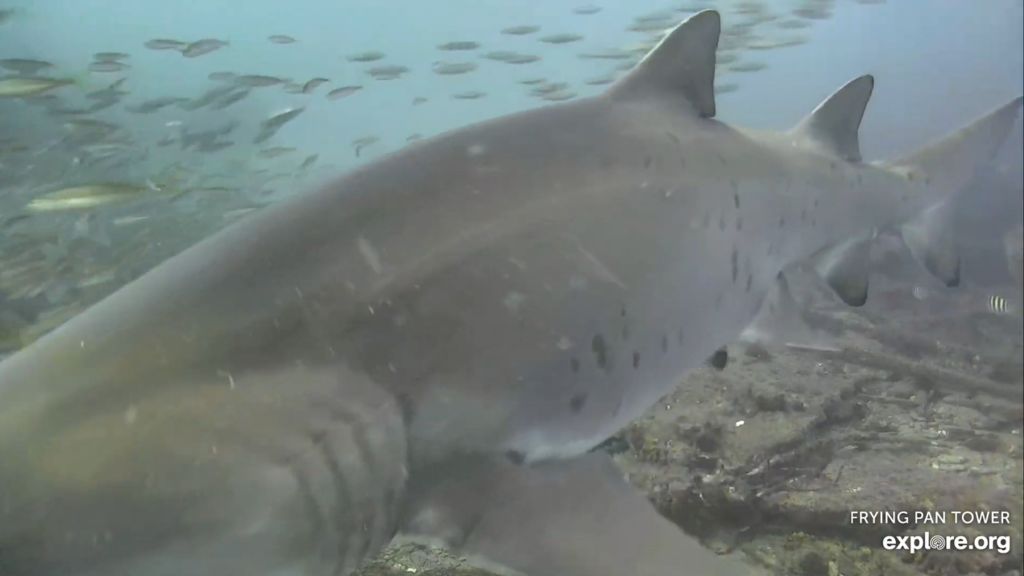 84034d65-4afd-4845-92ee-6eb6e0a41f03