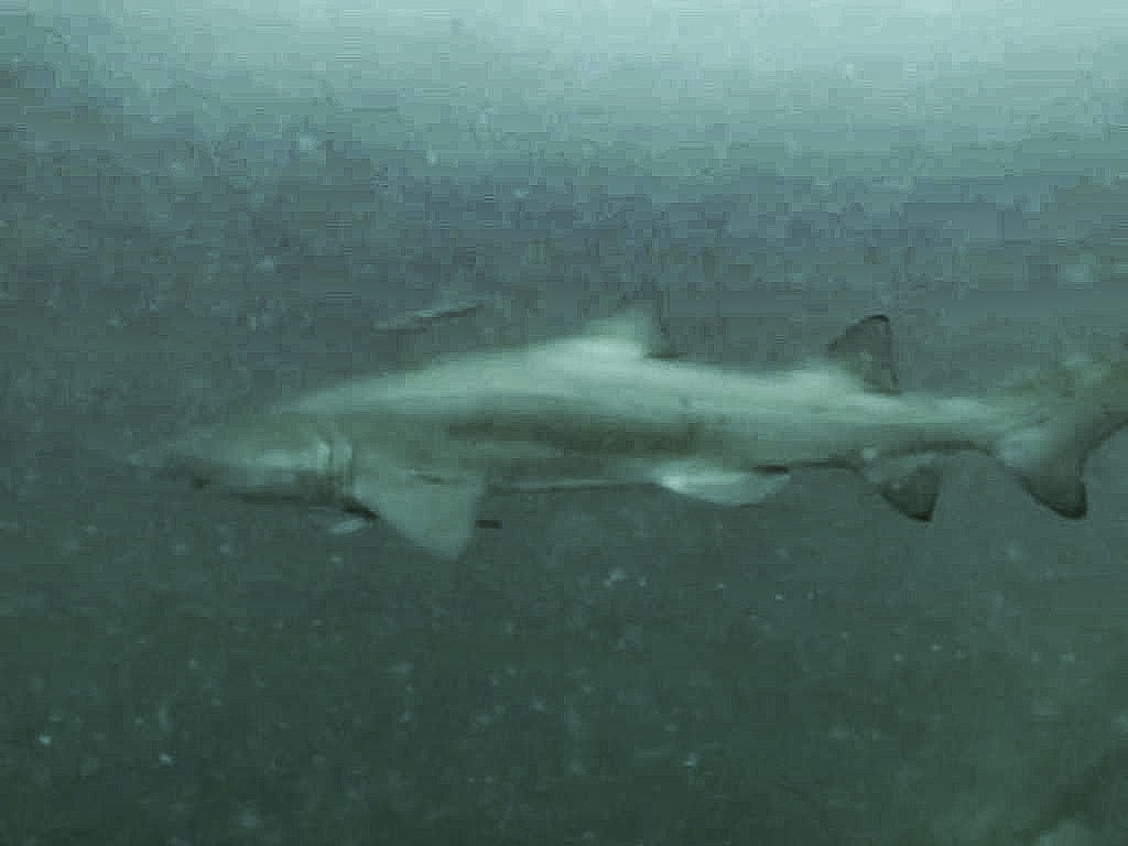 ec6cc637-dc5a-49b9-92fa-07e25bde4900