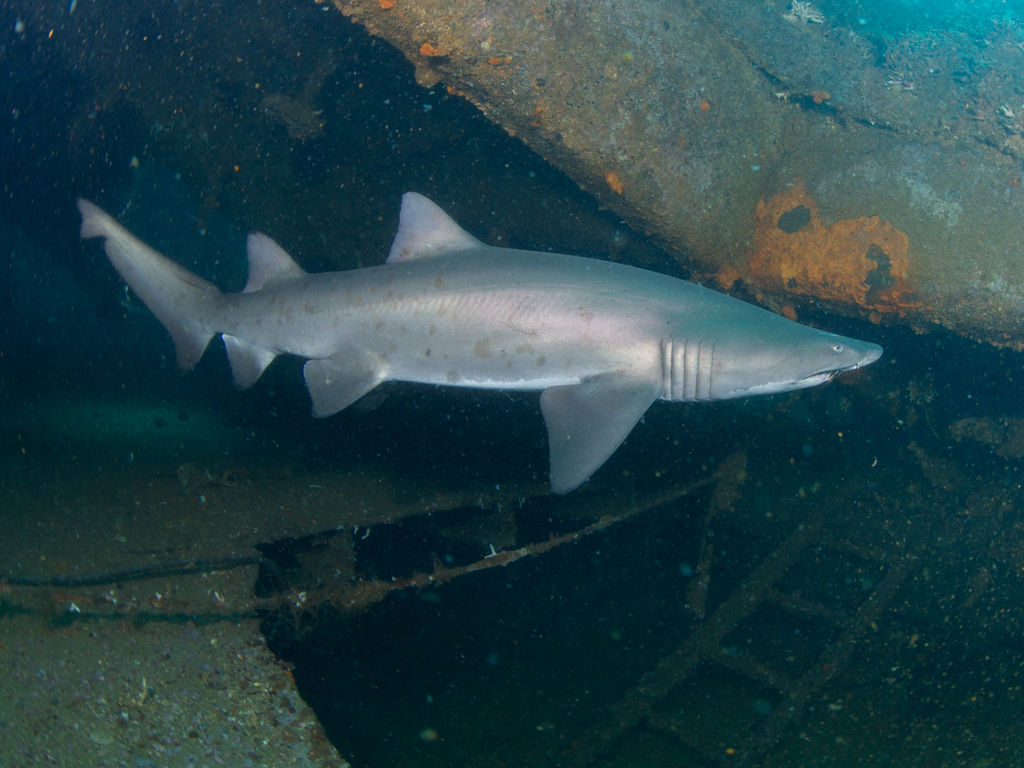 be480bd6-a1f3-4d2f-bb16-43b6192b030c