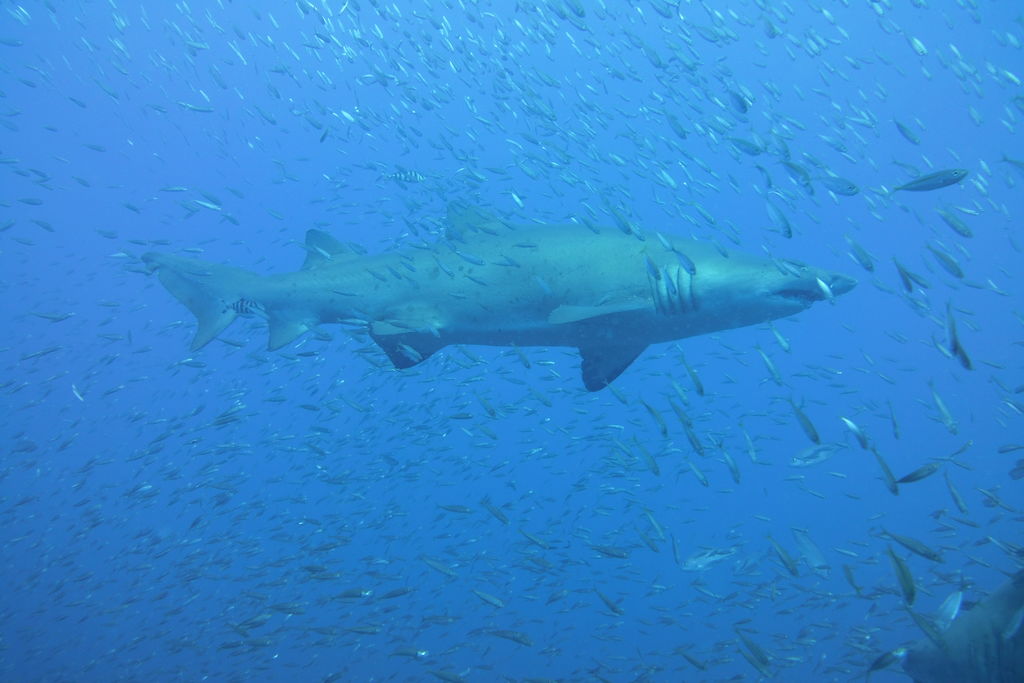 a238e1be-58bb-4942-86dd-f9d7a502572d