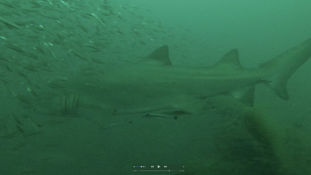 4cbf5522-1721-4f17-bed0-09cd9582df83