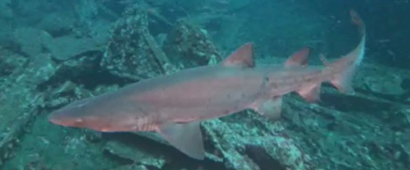 e9016b99-373c-467f-9325-014fb81bde65