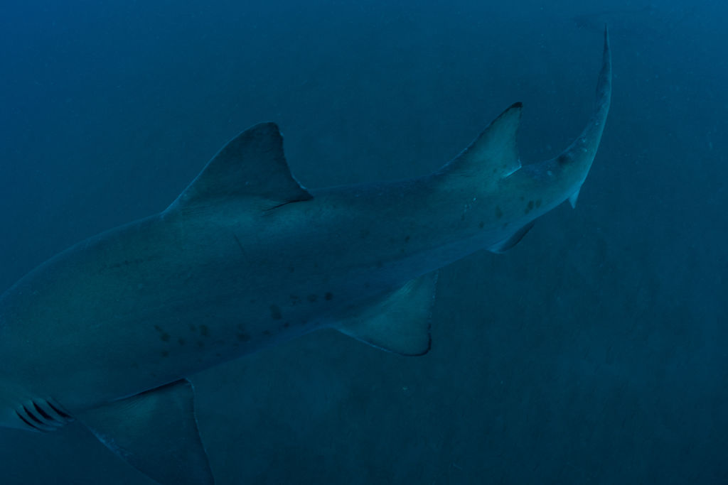 1e37a004-f3a1-46ce-b58f-3418ab7b87cb