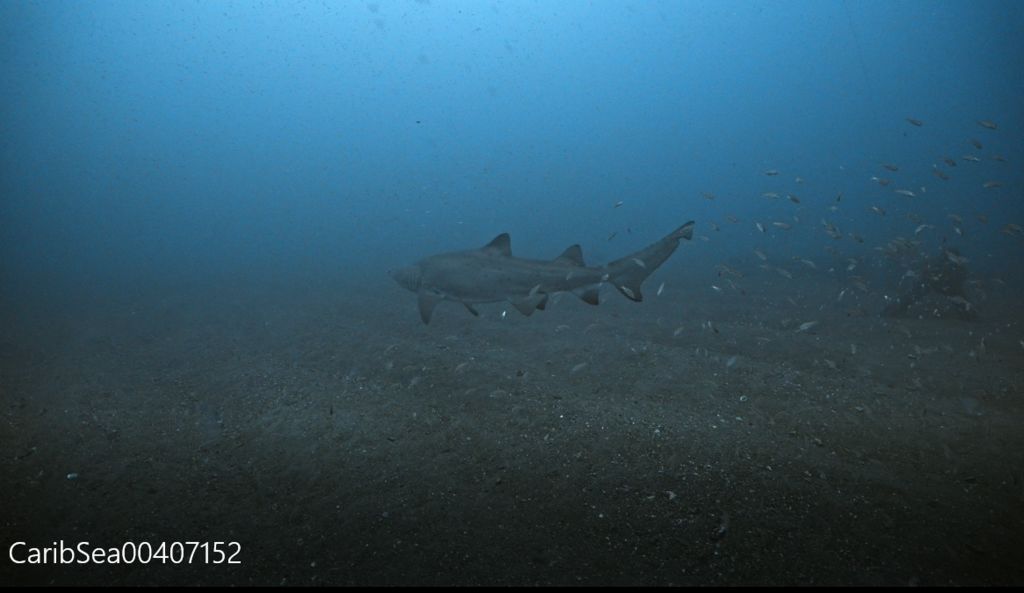 114b0d09-9748-412c-950f-f25fb8d01dc9