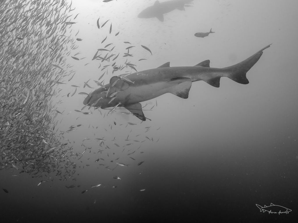 c31ab199-55b5-4fe8-82d1-f0679ff5e3ed