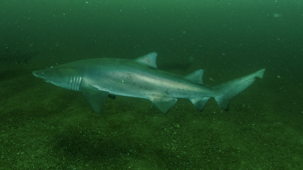 8c75741a-c1e4-4fb5-88c2-b5b328bff831