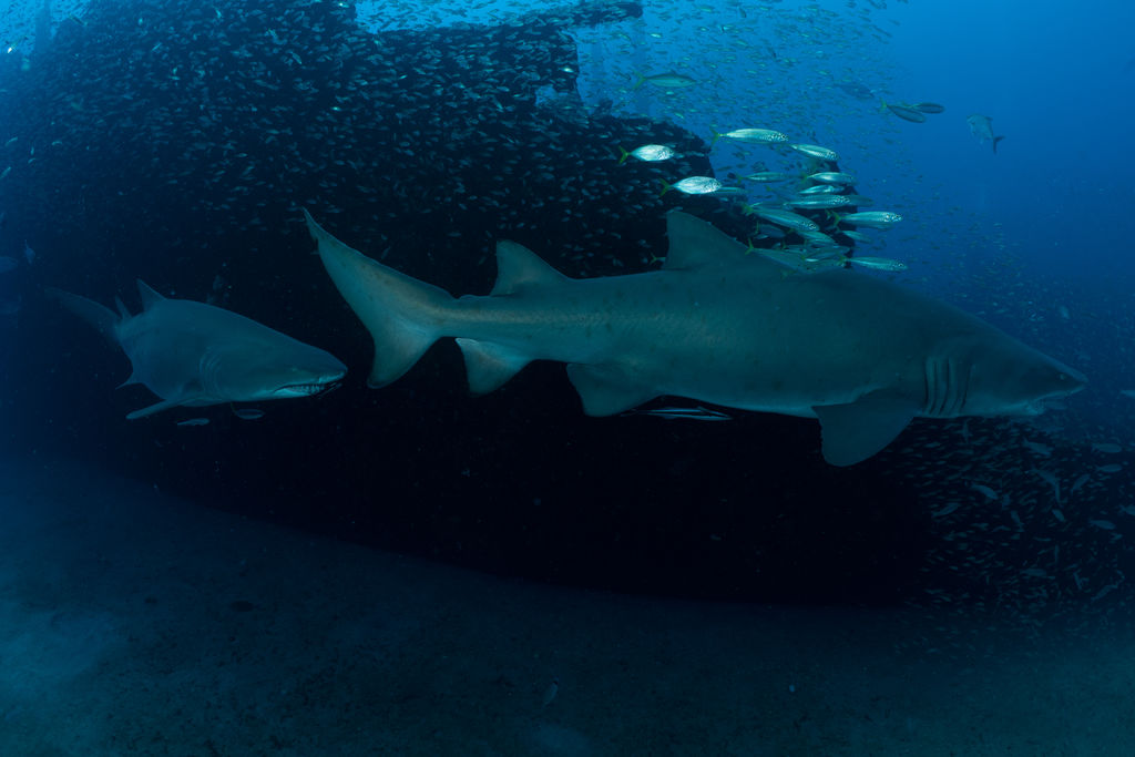 76b4772b-d84a-4cb2-b6c4-f6ef7e78029e