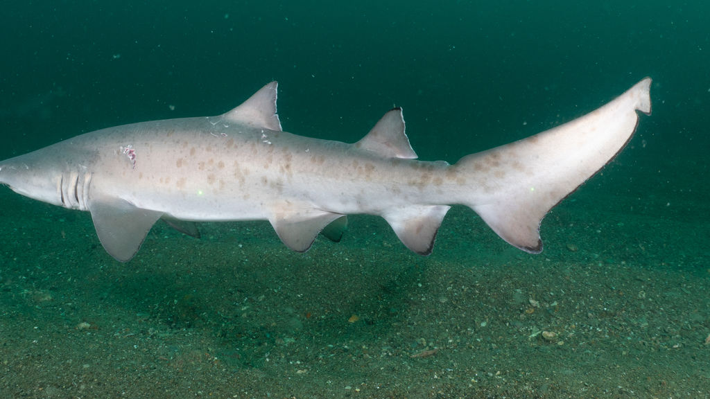 3674b903-b0f3-45c1-b518-54b9773f8b69